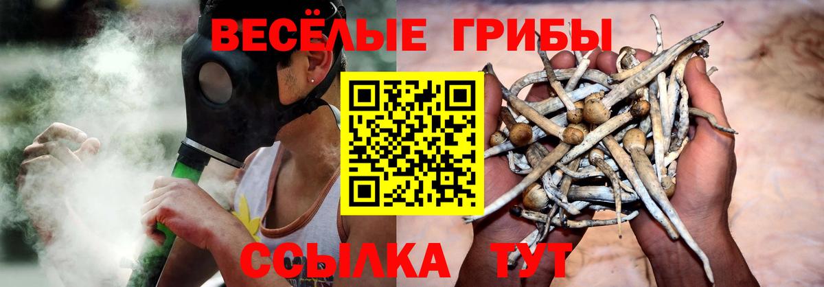 Галлюциногенные грибы Psilocybe Семёнов