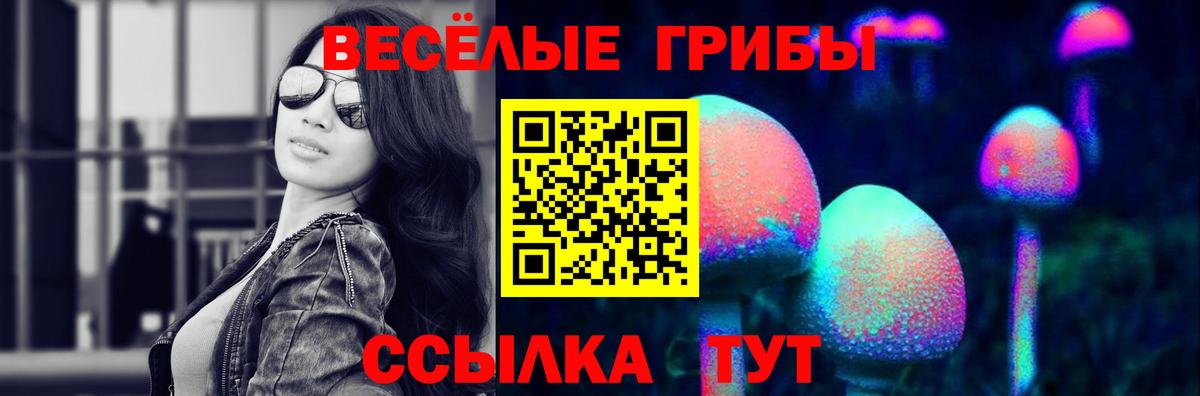 Псилоцибиновые грибы GOLDEN TEACHER  Вход с VPN  Семёнов 